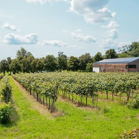 Nussboeckgut - Winzerhof Mit Gratis Parkplatz 4*
