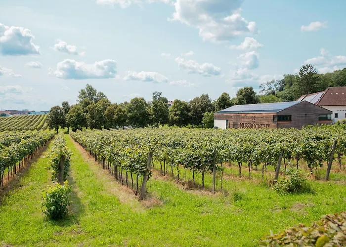 Nussboeckgut - Winzerhof Mit Gratis Parkplatz 4*